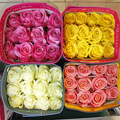 50 Роз Эквадор 40 см. в технической упаковке. (по 25 шт. в упаковке)