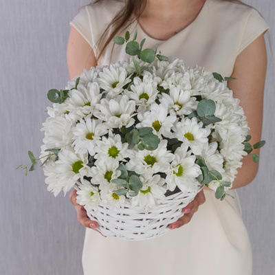 Корзина с хризантемой "Летнее настроение" 36287