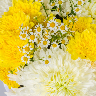 Букет из одноголовых и кустовых хризантем с ромашками N 52704