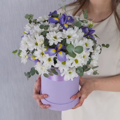 Коробка с кустовой хризантемой и ирисами "Девчата" 36288