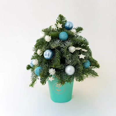 Ёлка №6 (30 см) из нобилиса в стакане N 90864