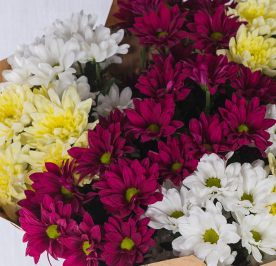 Букет из разноцветных хризантем 35809