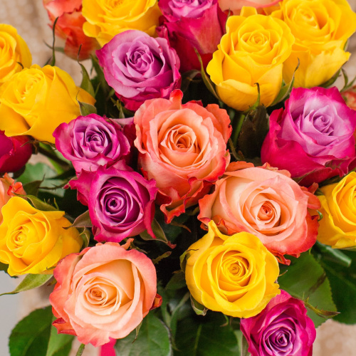 Букет из 25 эквадорских роз 40 см Яркий микс арт. 7310