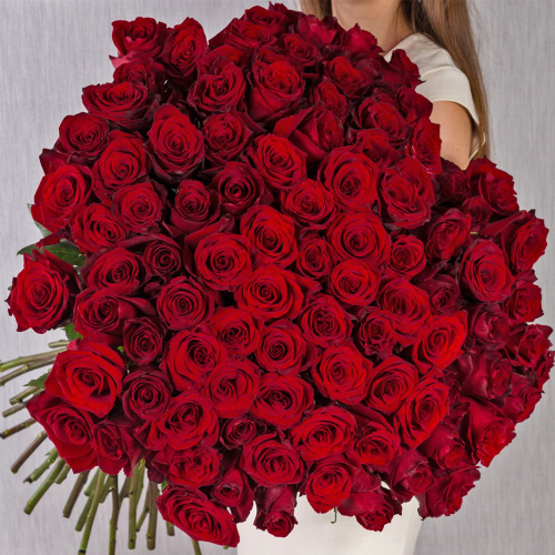 Роза красная Эквадор с крупным бутоном ПОШТУЧНО 60 см арт. 902