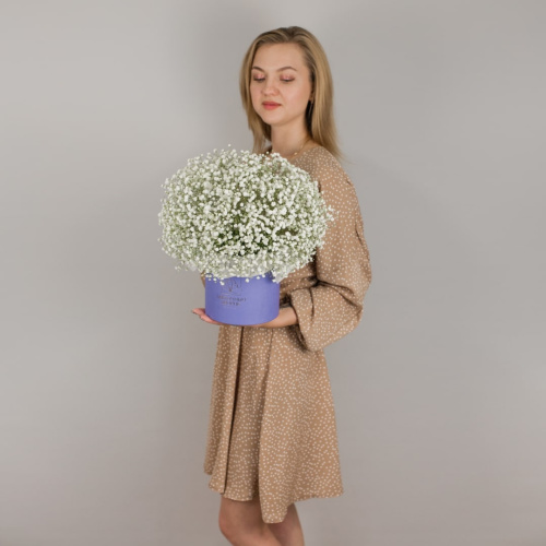 Коробка с гипсофилой белая арт. 50464